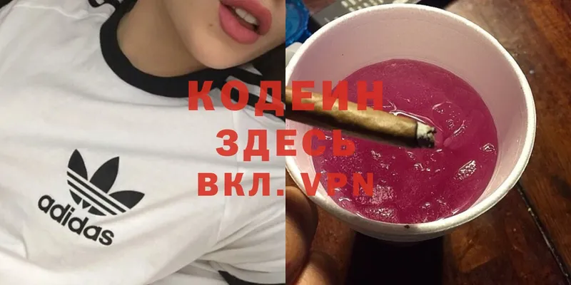 мега ссылка  darknet формула  Codein Purple Drank  цена наркотик  Саров 